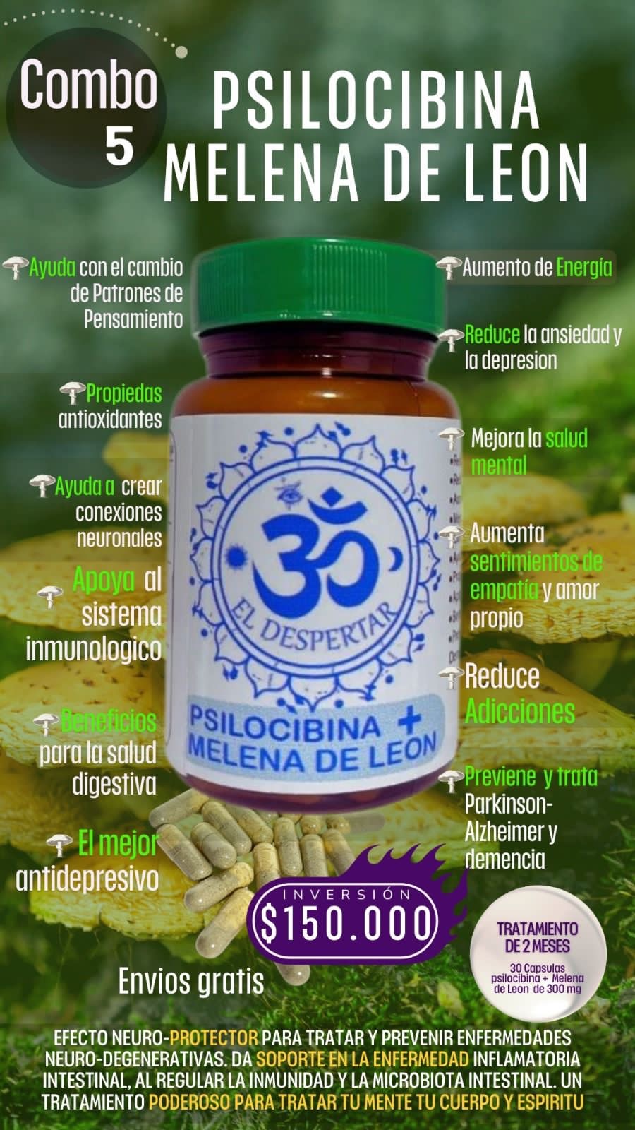 Psilocybin + Melena de León